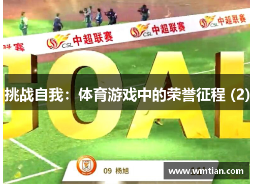 挑战自我：体育游戏中的荣誉征程 (2)